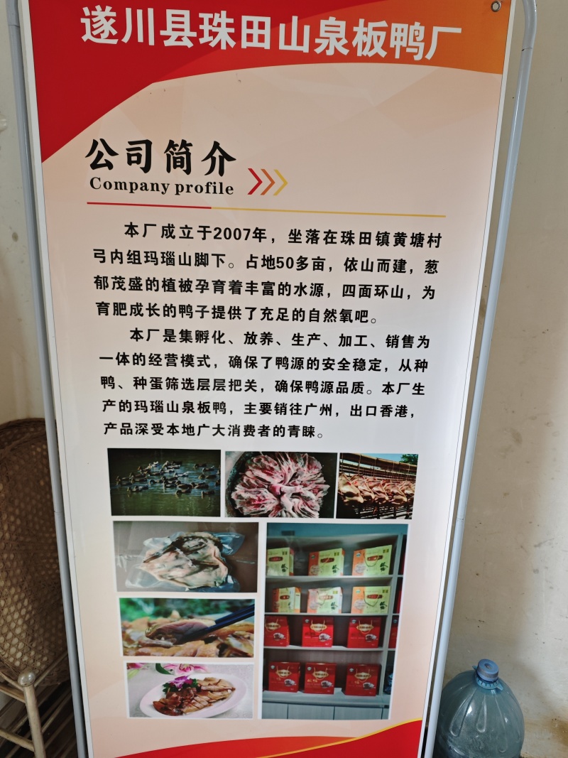 遂川板鸭源头厂家