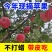 陕西洛川红富士苹果纸袋纸袋商品冷库货大量上市