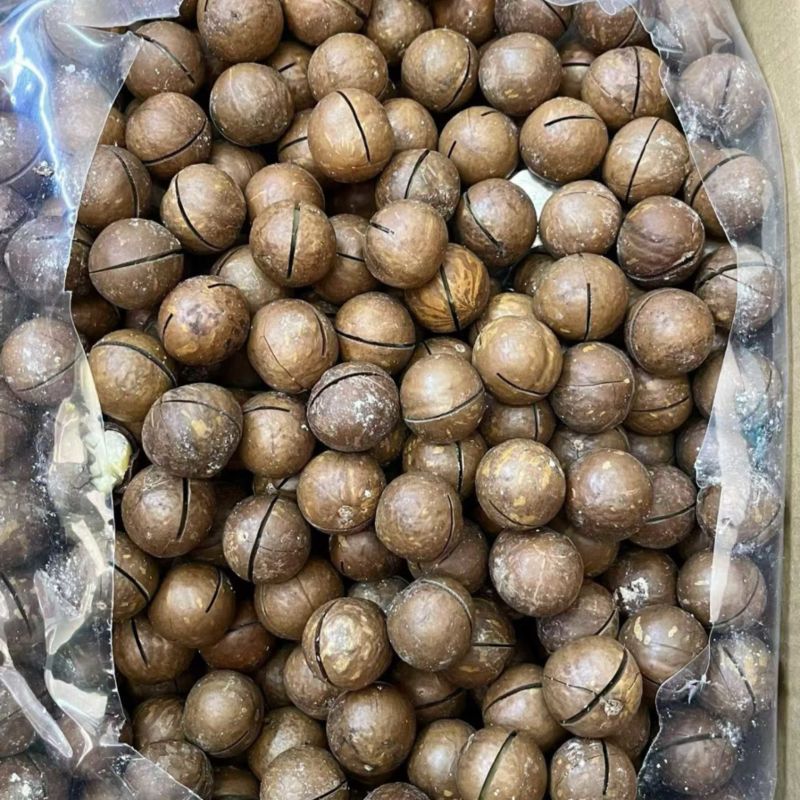 坚果干果夏威夷果空瘪子一半一半余30t地摊赶集
