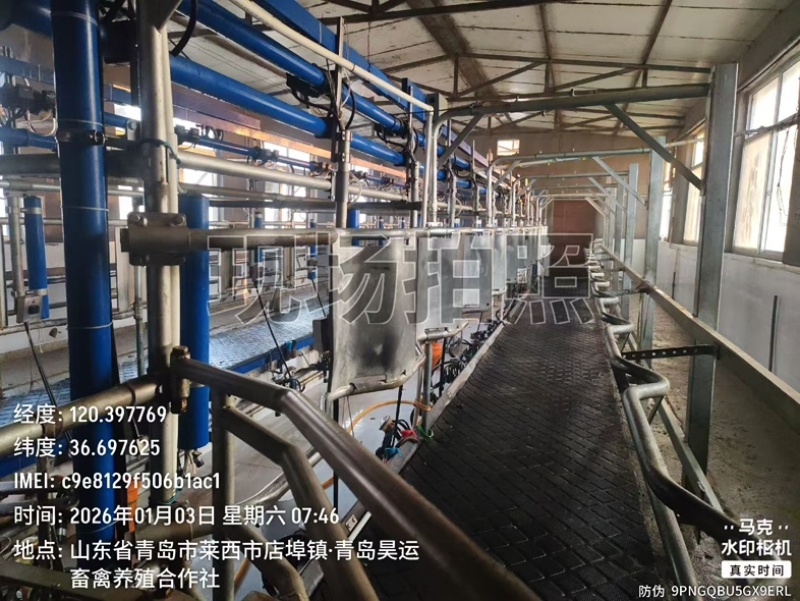 鲜牛奶纯奶鲜奶生鲜乳出场检测量大可谈