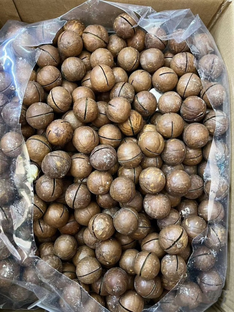坚果干果夏威夷果空瘪子一半一半余30t地摊赶集