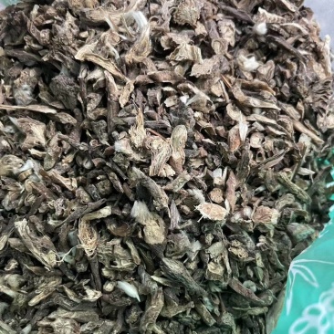 白头翁