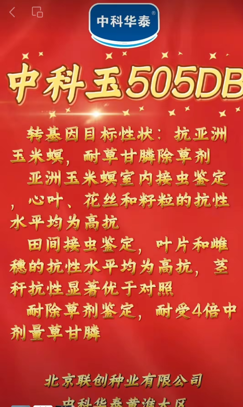 中科玉505DB国审玉米种大棒抗病抗虫害抗草甘膦转基因