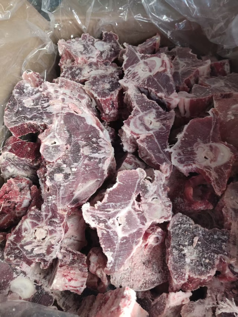 内蒙呼唤满肉羊蝎子