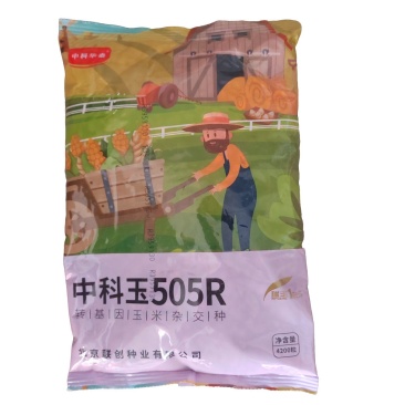 中科玉505R国审玉米种子抗病抗虫高产玉米种子