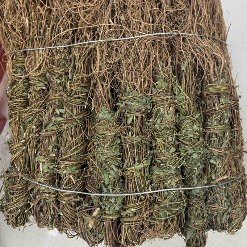 鸡骨草带根头鸡骨草！无叶的和带叶的都有！味道香