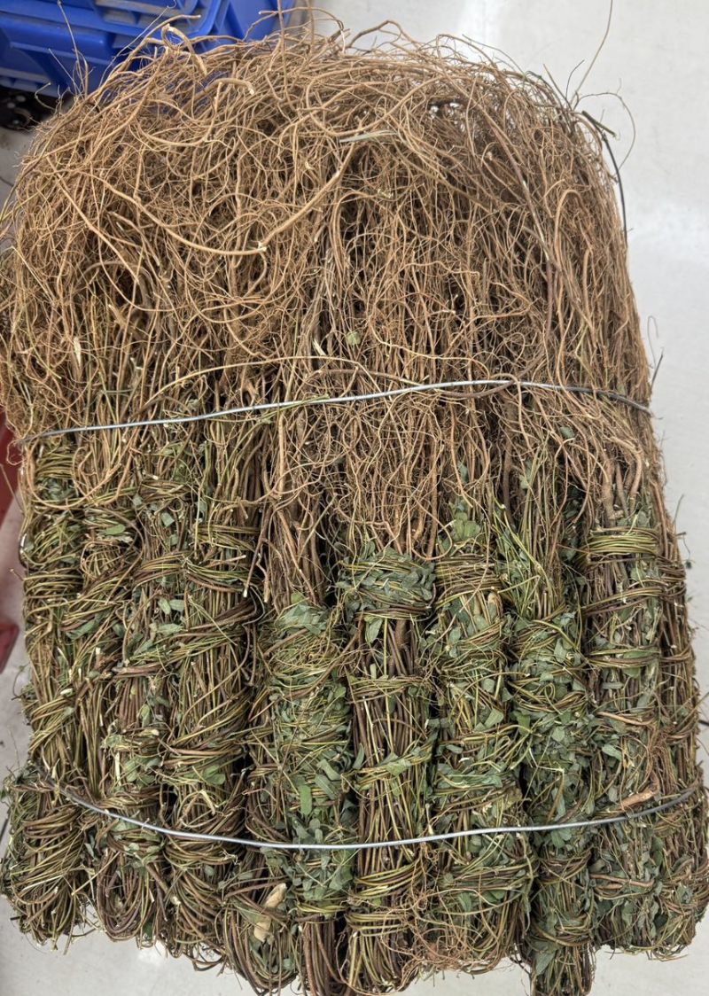 鸡骨草带根头鸡骨草！无叶的和带叶的都有！味道香