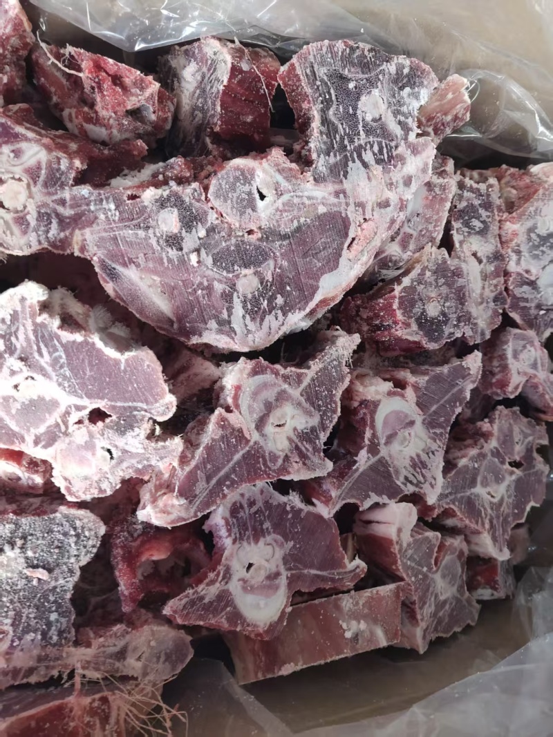 内蒙呼唤满肉羊蝎子