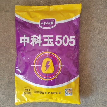 中科玉505国审玉米种