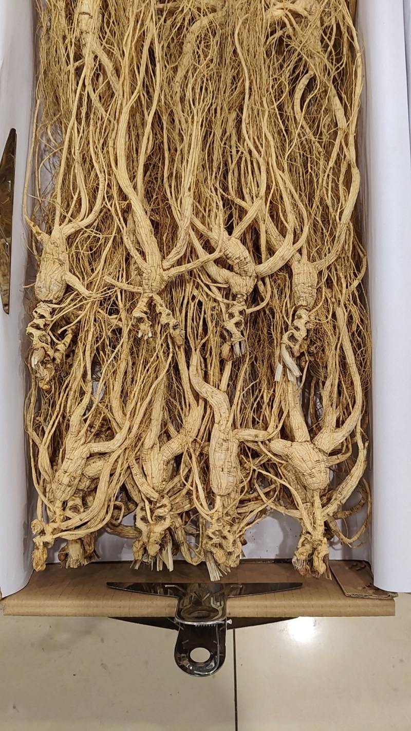 15年小干货质量精品