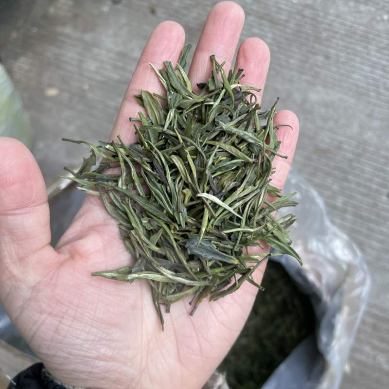 雀舌茶