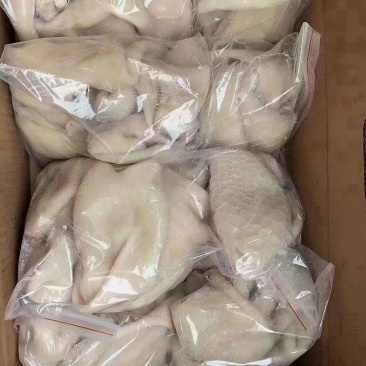 熟羊肚，羊白肚都有山东腾惠将成为更多客户的选择