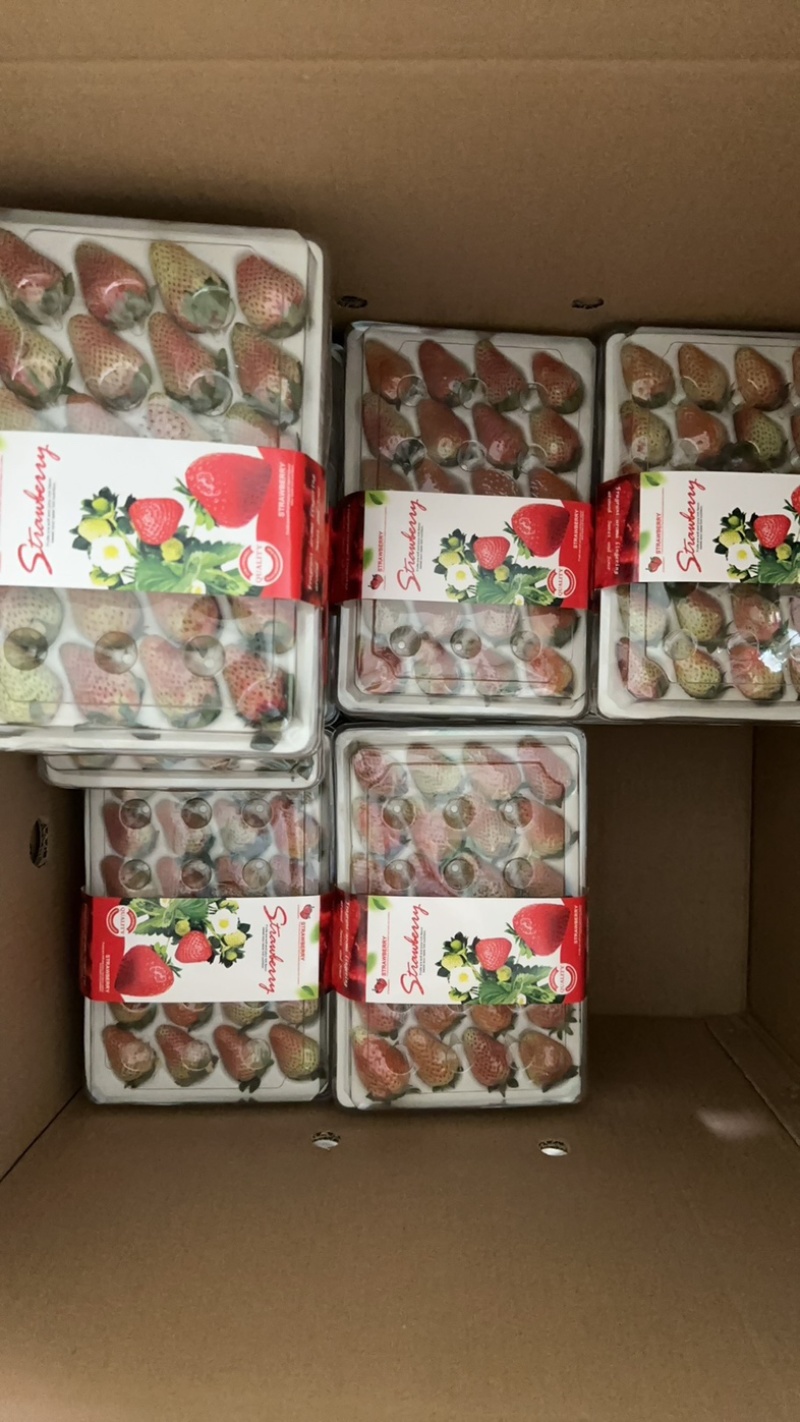 玉溪香野草莓🍓