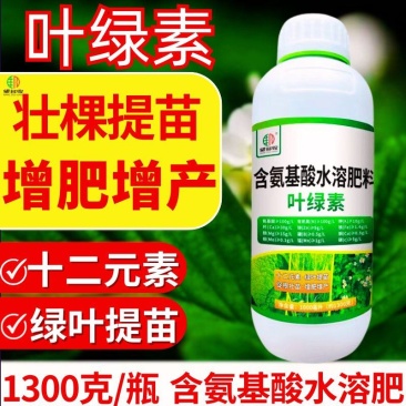 叶绿素一喷绿叶面肥叶片厚绿提苗壮棵提高叶绿素氨基酸水溶肥