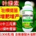 叶绿素一喷绿叶面肥叶片厚绿提苗壮棵提高叶绿素氨基酸水溶肥