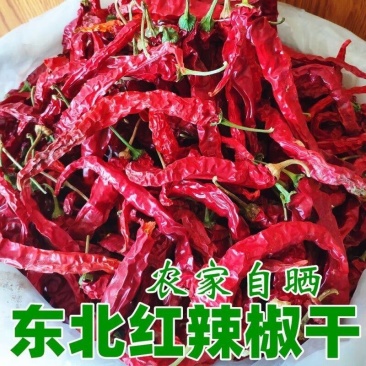 生态种植干辣椒，色泽鲜亮，辣度正宗，全国发货，欢迎进店