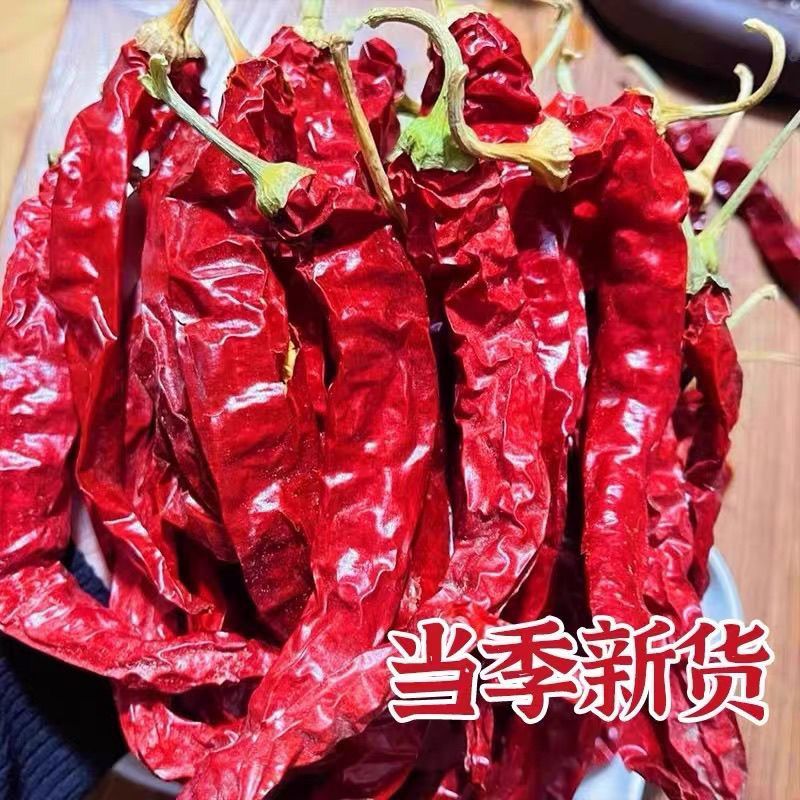 精品景丰101干辣椒香辣型产地一手货源直发全国
