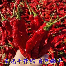 东北红干辣椒产地直发，全国发货，欢迎进店沟通。