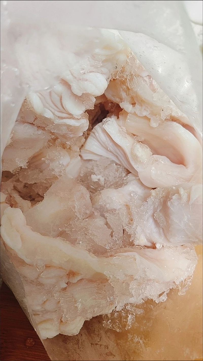 【包邮】脆肚别名鲨鱼鱼肚鲨鱼肠脆肠肚爆炒火锅现切酒店食材