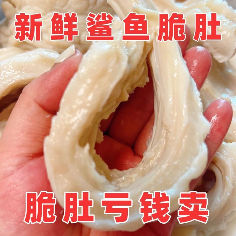 【包邮】脆肚别名鲨鱼鱼肚鲨鱼肠脆肠肚爆炒火锅现切酒店食材