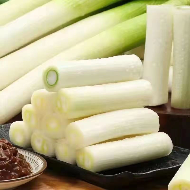 包邮）山东大葱蔬菜脆甜铁杆自种正宗新鲜农家现挖便宜