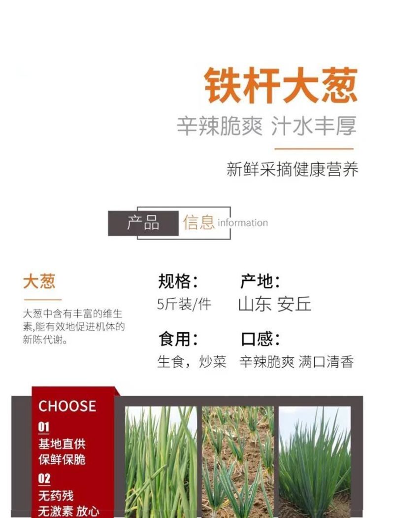 包邮）山东大葱蔬菜脆甜铁杆自种正宗新鲜农家现挖便宜