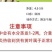 包邮）山东大葱蔬菜脆甜铁杆自种正宗新鲜农家现挖便宜