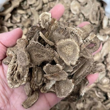 广木香云木香新货无硫中药材批发