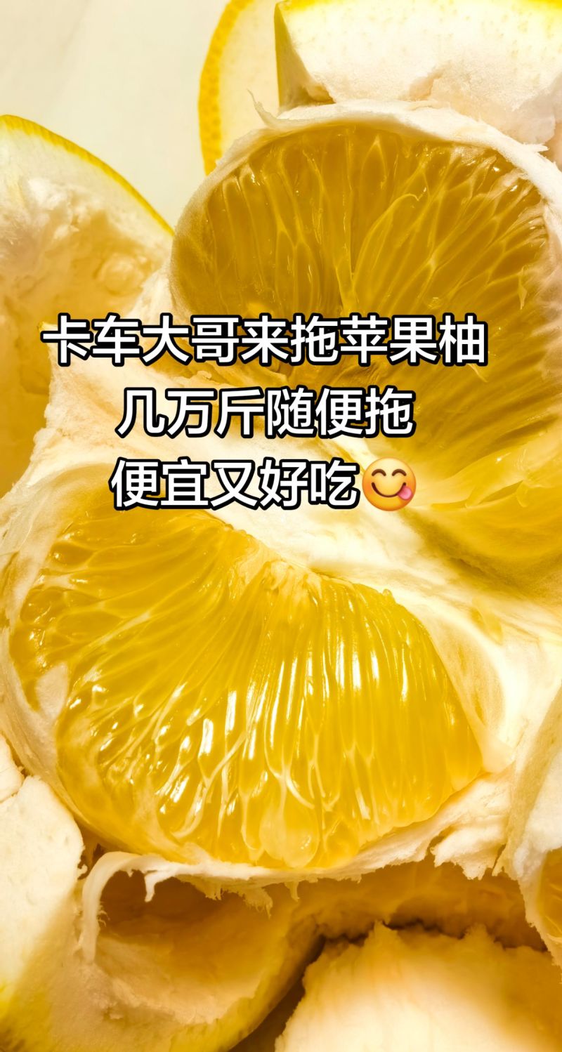 柚子专属地理位置特产苹果柚