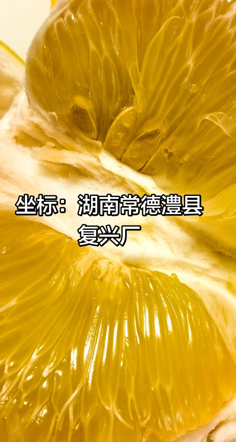 柚子专属地理位置特产苹果柚
