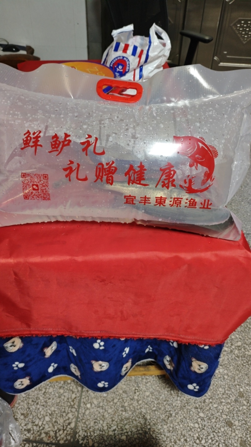 鲈鱼鳜鱼养殖户长期供应优质标准加州鲈鱼，淡水鲈鱼