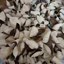 广东江门新会陈皮
