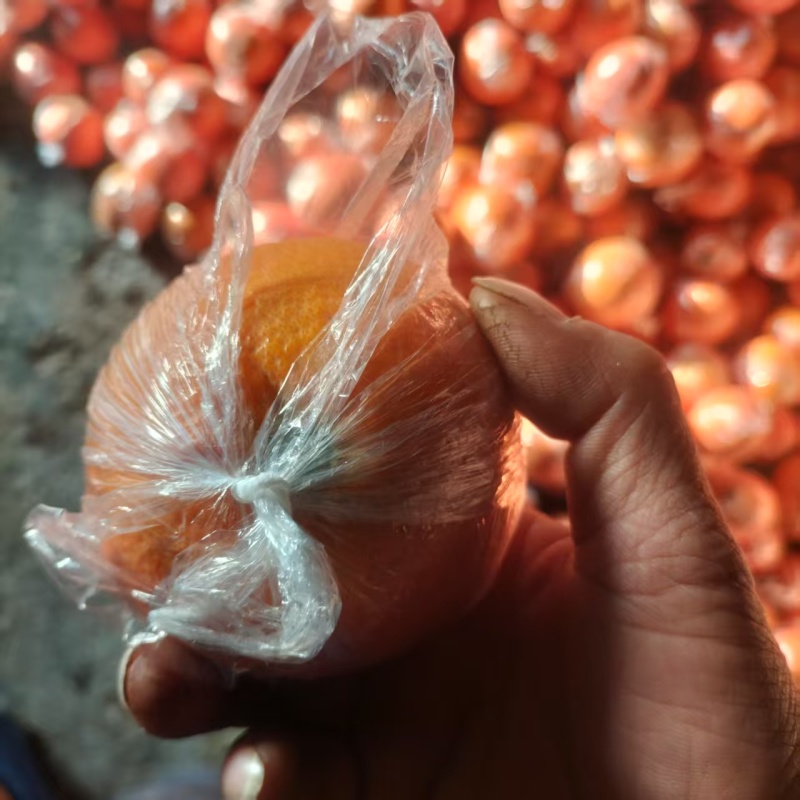 四川精品春见粑粑柑，甘甜可口，精品果，四川资阳当地特产