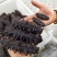 即食海参，量大优惠，质量保证5-15头，125一斤