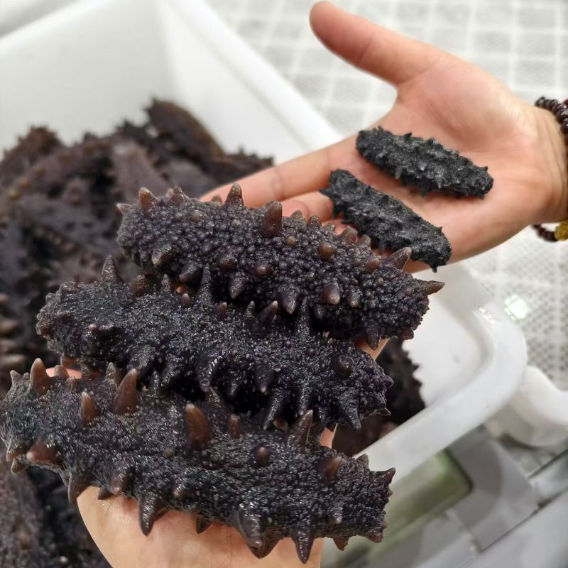 即食海参，量大优惠，质量保证5-15头，125一斤