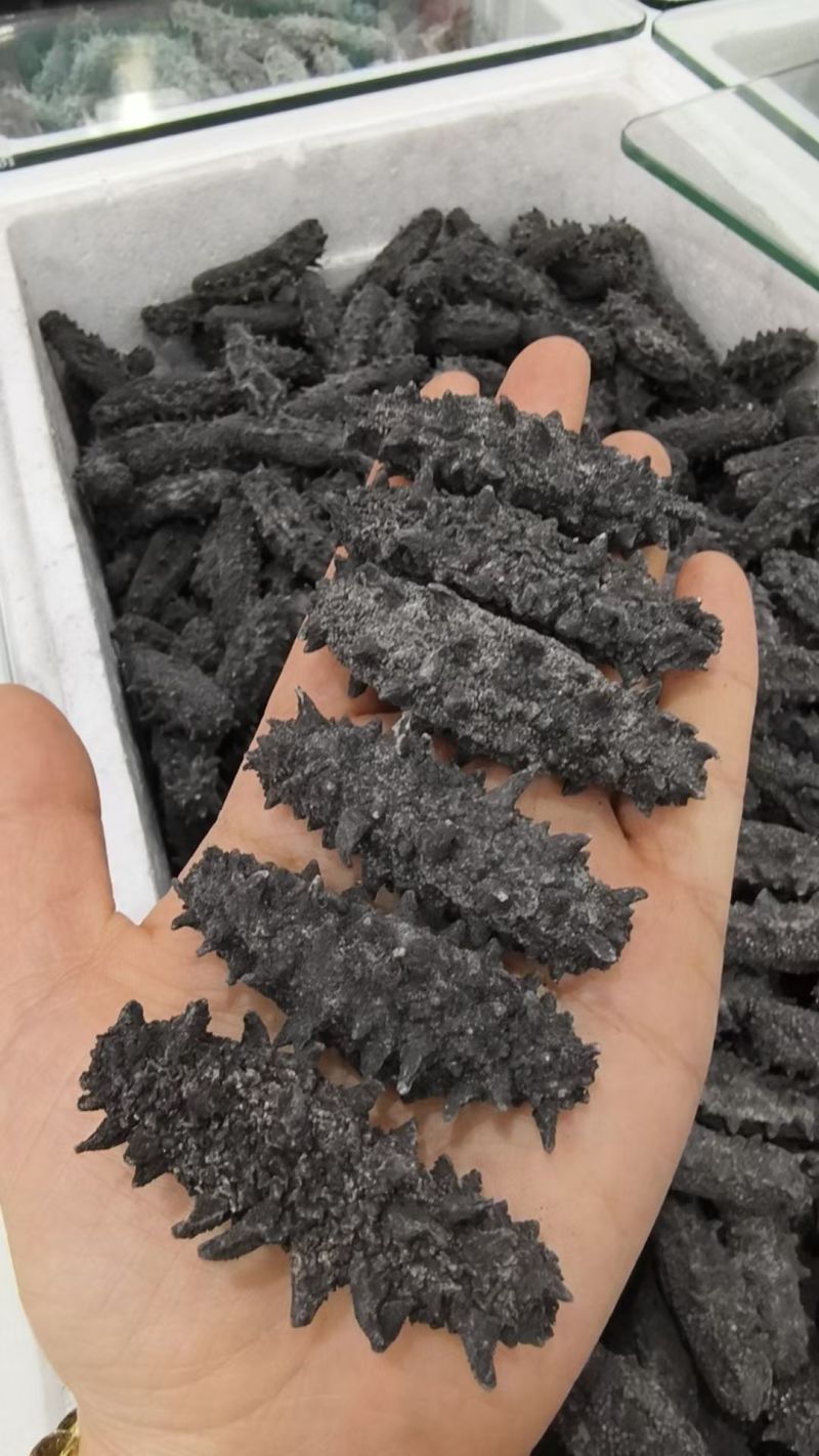 即食海参，量大优惠，质量保证5-15头，125一斤