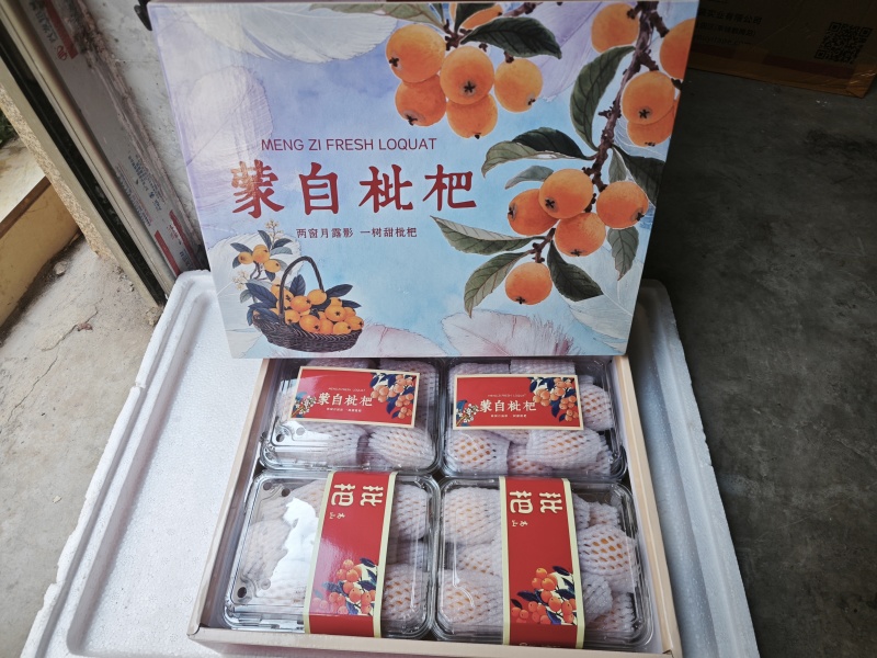 蒙自长虹枇杷礼盒包装，支持市场批发各大平台一件代发