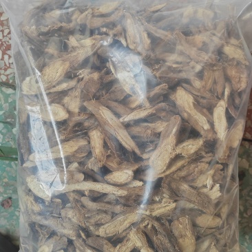 广西桂林野生葛根