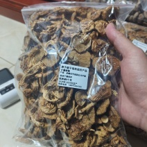 赤峰滑子菇干品