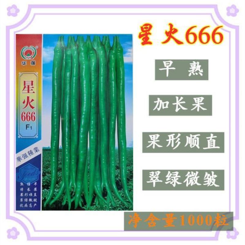 星火666辣椒种子早熟抗病高产线椒种籽农家四季蔬菜春秋