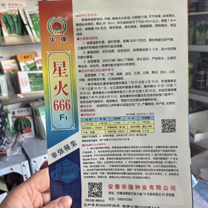 星火666辣椒种子早熟抗病高产线椒种籽农家四季蔬菜春秋