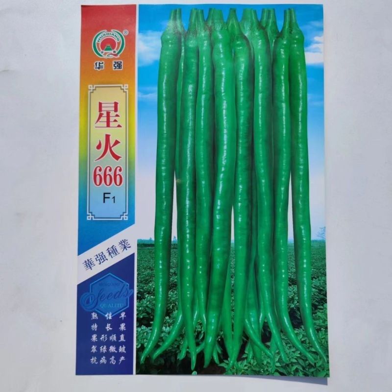 星火666辣椒种子早熟抗病高产线椒种籽农家四季蔬菜春秋