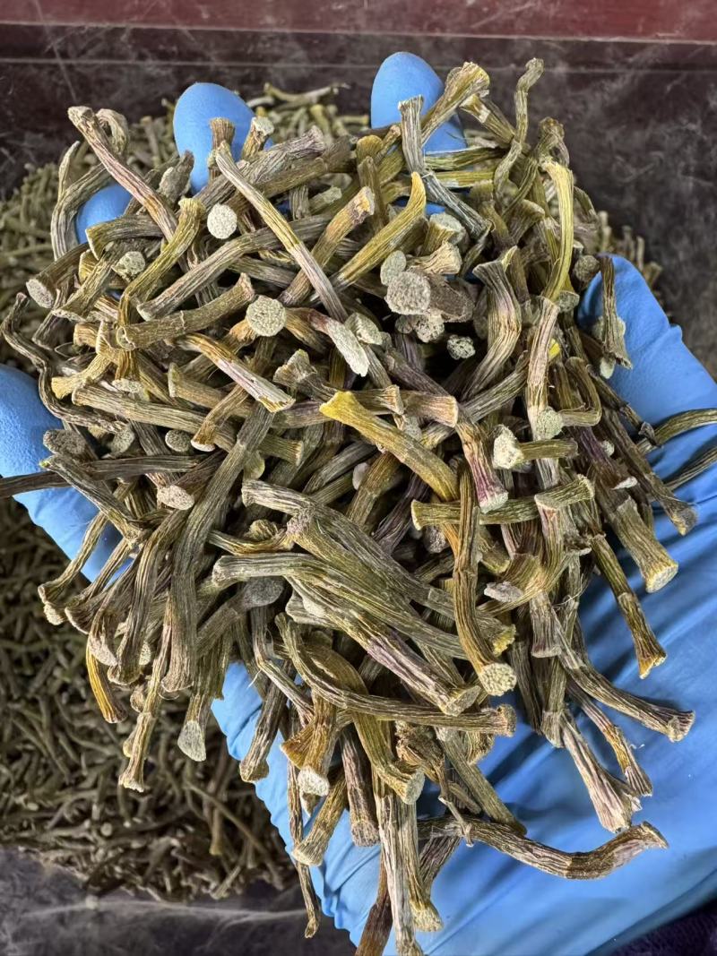浙江铁皮石斛干条胶质好2斤起包邮量大从优