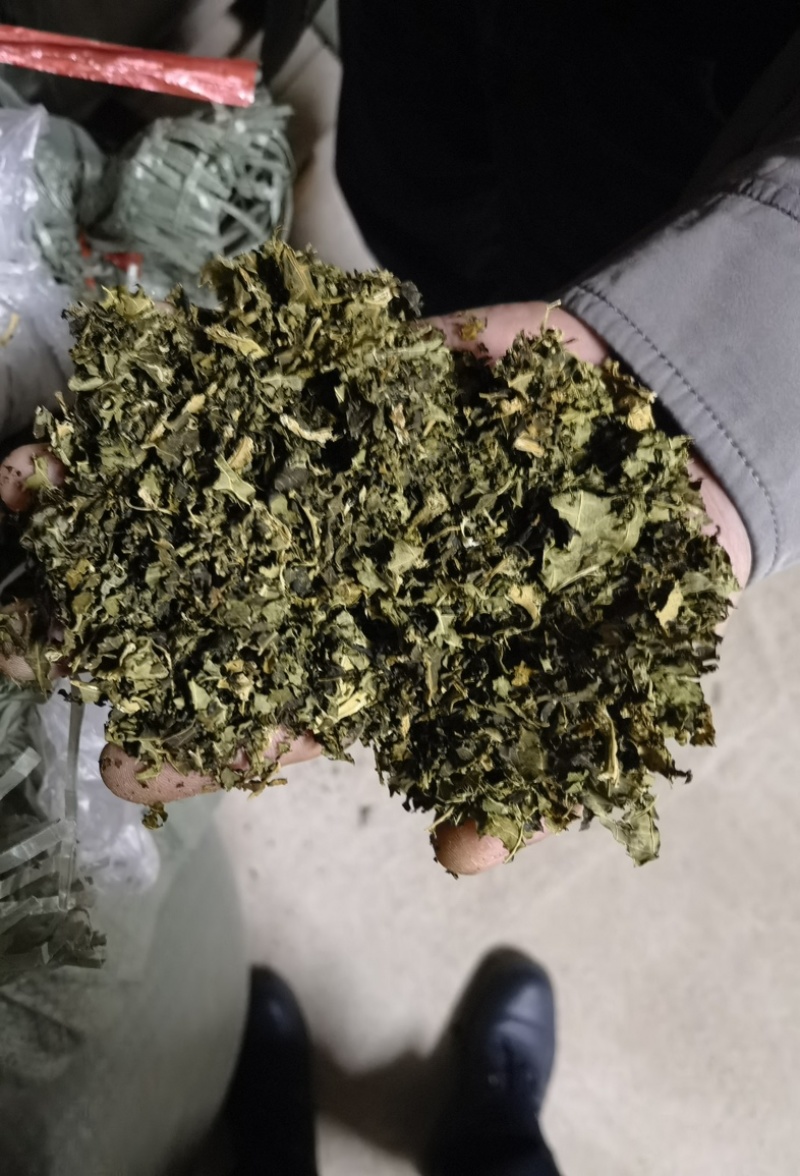 广西大批量干木瓜叶切碎装袋