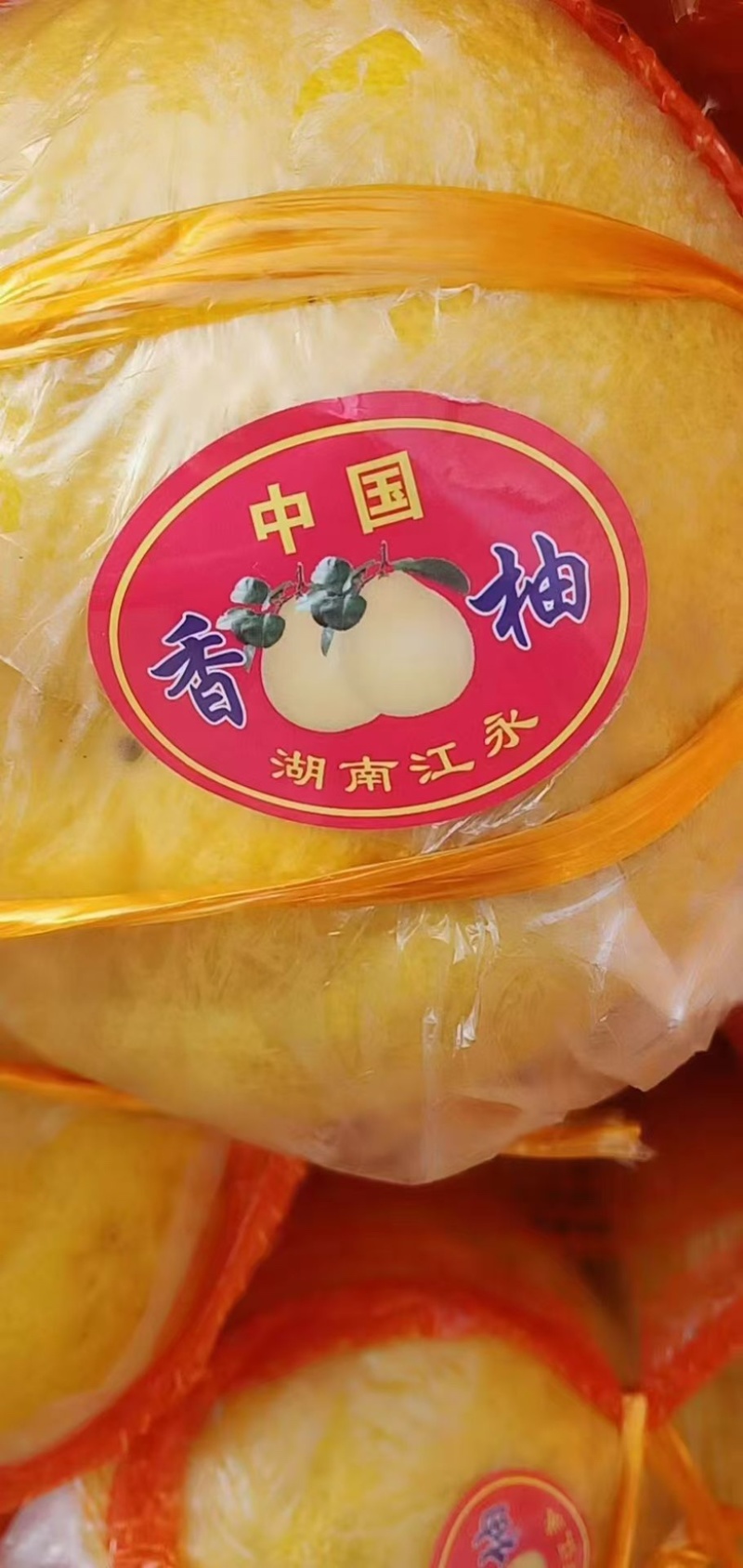 湖南永州香柚大量供应，一手货源，皮薄肉厚，香甜可口
