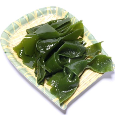 大连海带结