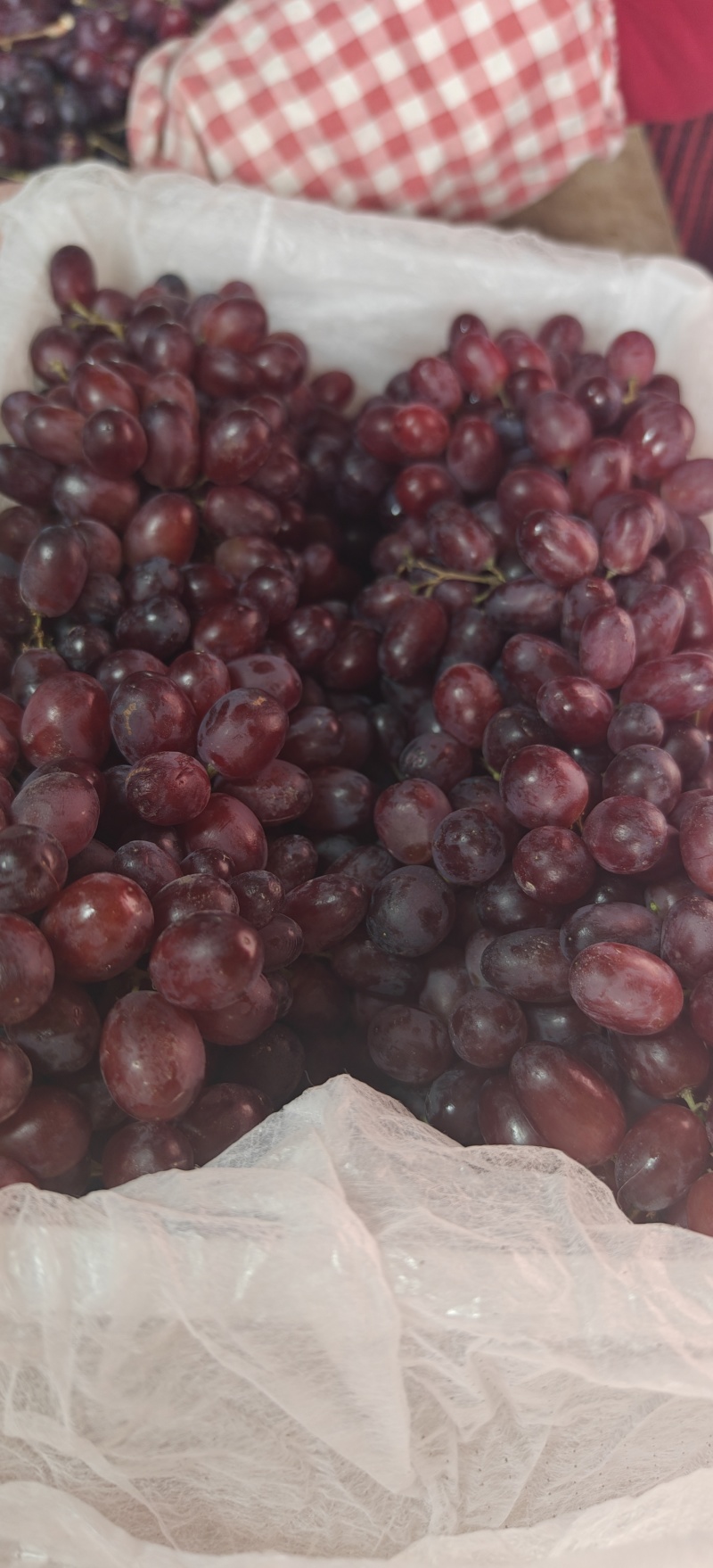 新疆无籽提