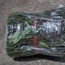 小叶紫藤三叶青藤条品质保证按需打包供货量大价格合理