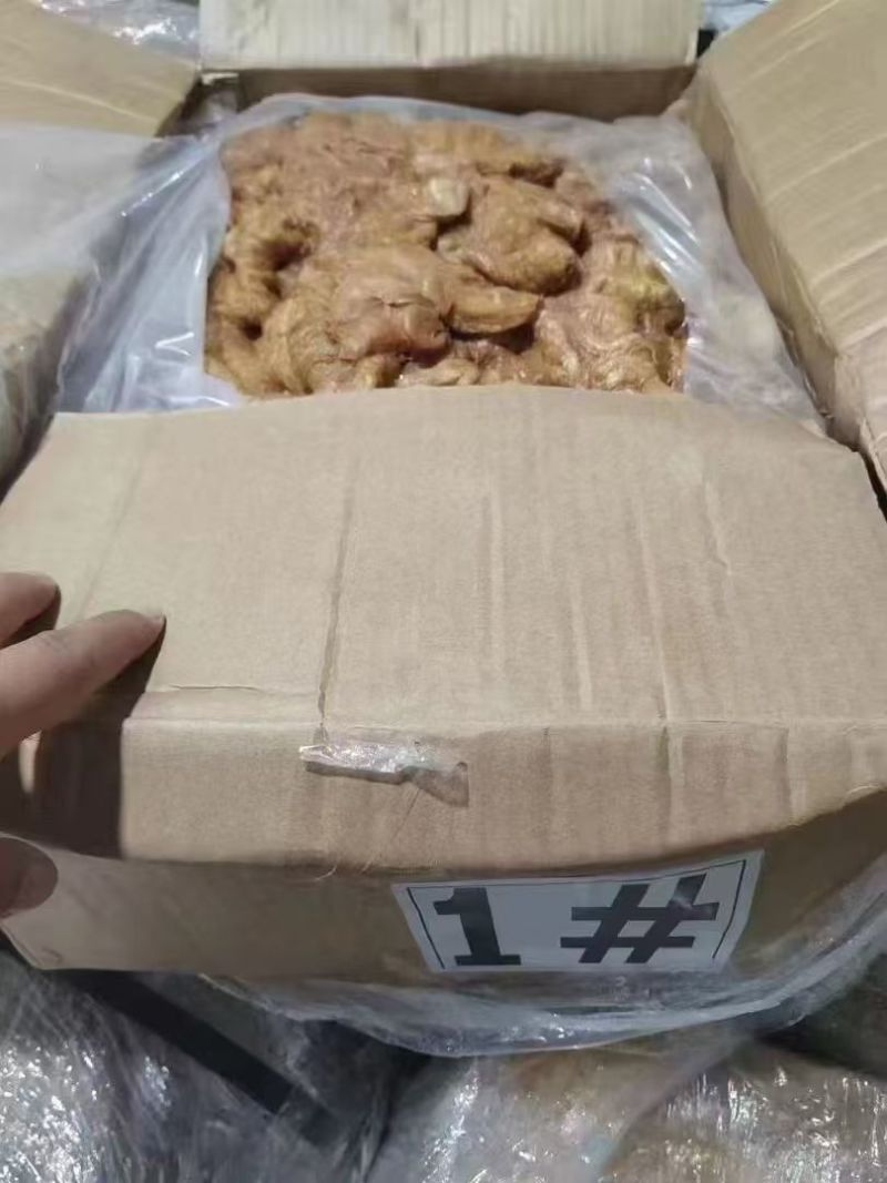 马中肠，一件40斤装，28一斤
