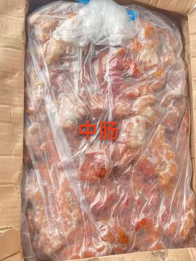 马中肠，一件40斤装，28一斤